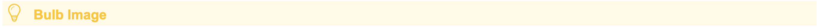 Bulb Image Banner.png