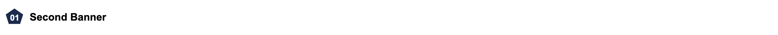 Pentagon Banner.png