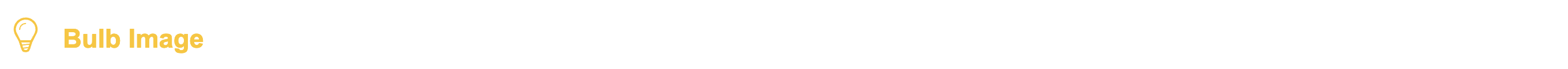 Bulb Image Banner.png