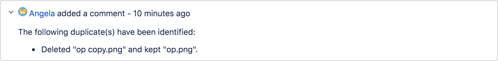 acj delete duplicates comment.png